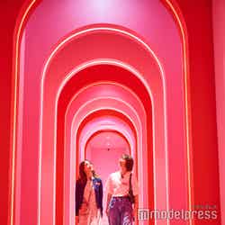 ミュージアム・オブ・アイスクリーム(C)モデルプレス