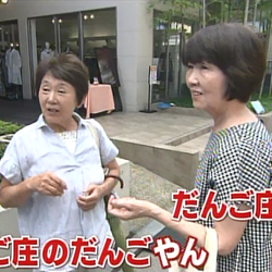 自慢がないはずの奈良県民がこぞって自慢するだんごとは?