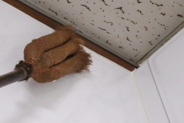 ダイソー　棕櫚ほうき