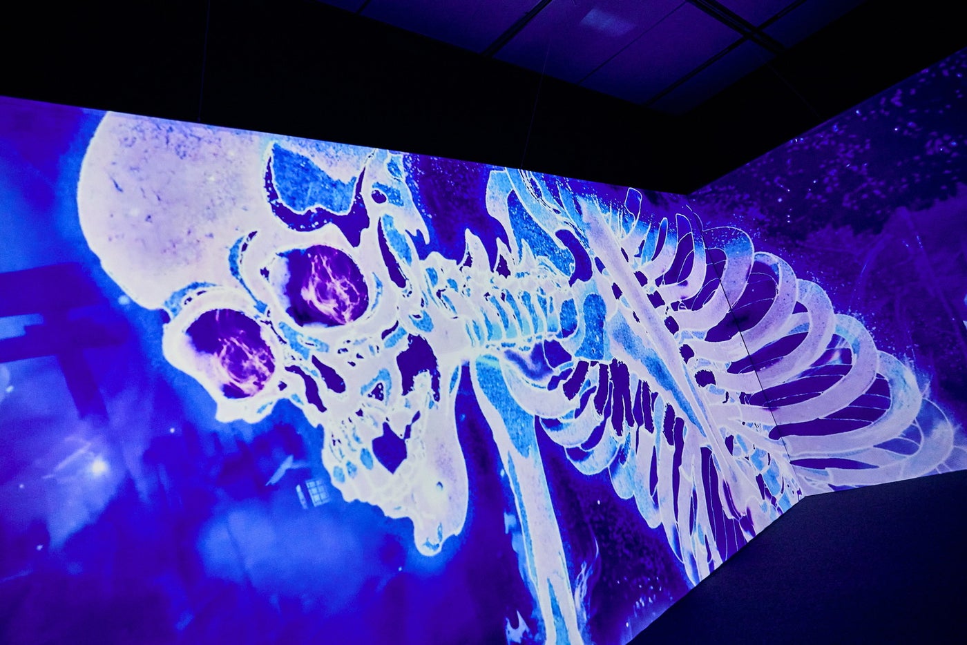 動き出す妖怪展 TOKYO／提供画像