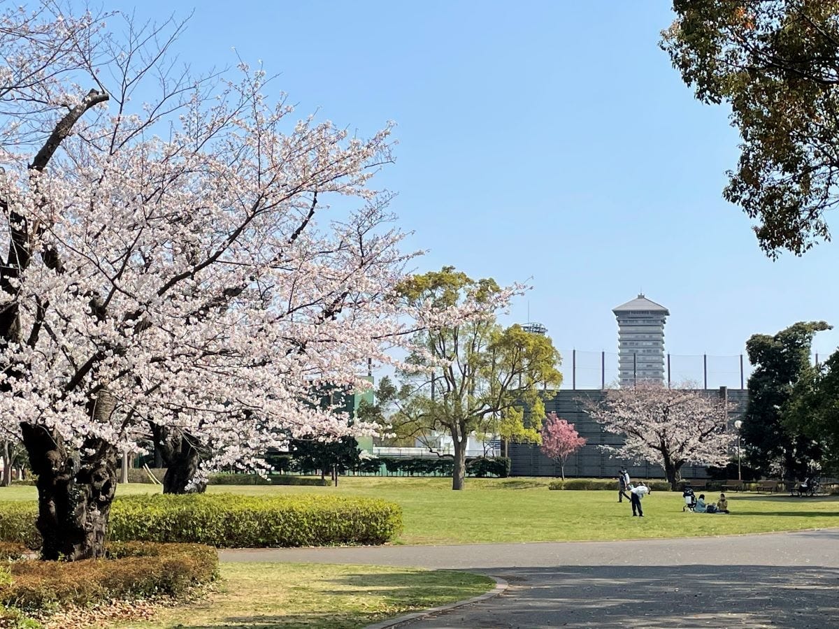 ドリームランド跡である俣野公園と横浜薬科大学図書館棟