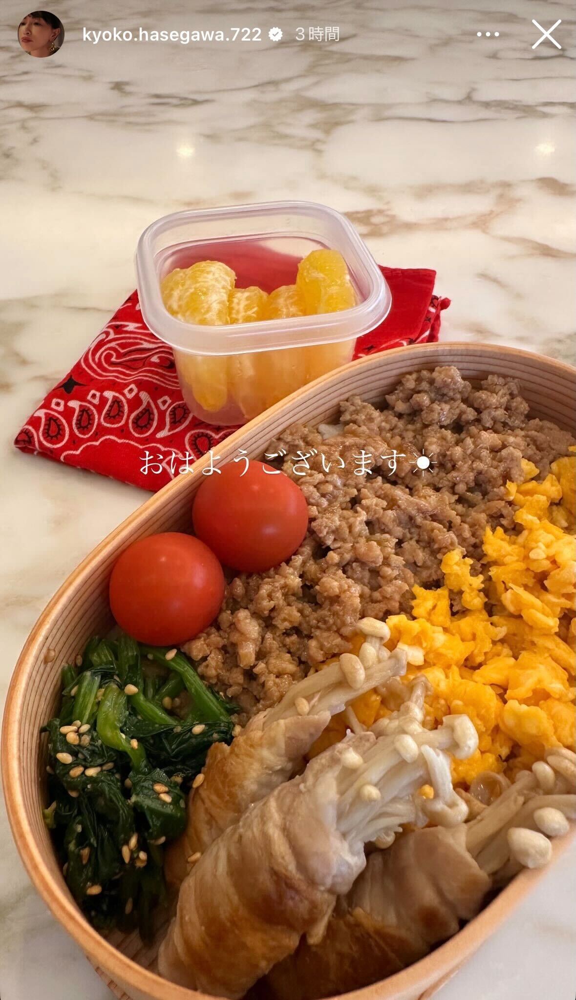 長谷川京子Instagramストーリーズより