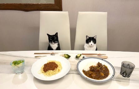 藤あや子オフィシャルブログより