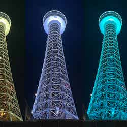 ※画像はイメージ/提供画像