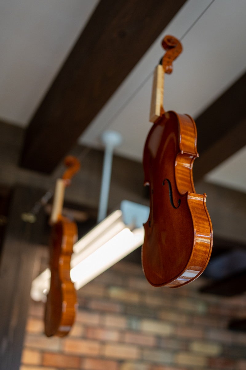 地球屋（C）Studio Ghibli