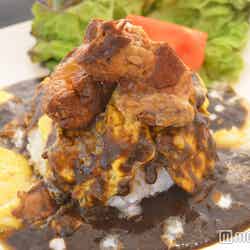 コラーゲンたっぷり黒い黒豚シチューライス/画像提供:全日本 肉汁グランプリ実行委員会