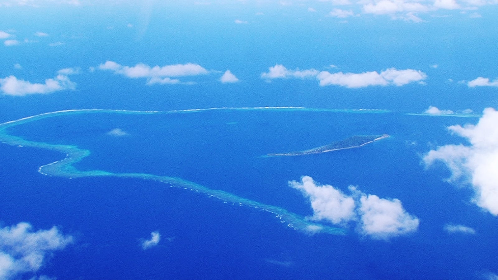 フィジー（画像提供：毎日放送）