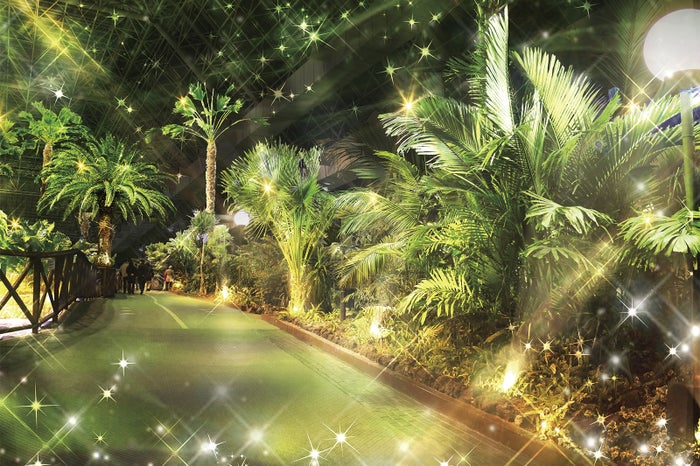 クラウドフォレスト／画像提供：東京サマーランド