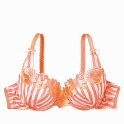 ボムバストパンジーブラ