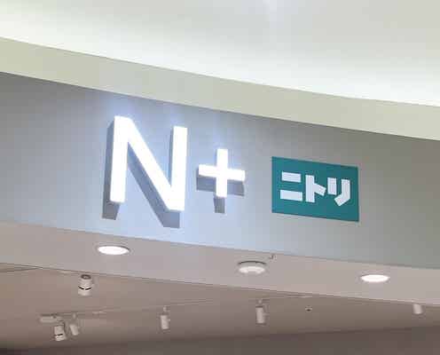 2025秋冬に活躍する服ってコレ!【ニトリのN+】ながーく使える「優秀ジレ」