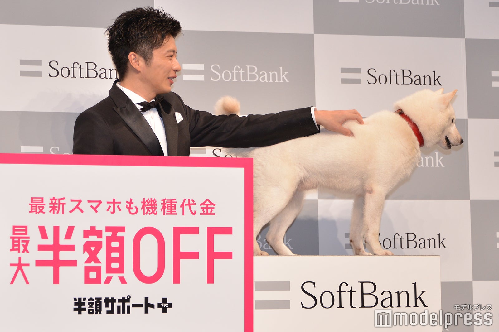 逃げようとする白戸家のお父さんを捕まえる田中圭（C）モデルプレス