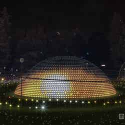直径6メートルの「ヴィジョンドーム」／ドームの外側のリング状のイルミネーションは美しい光の輪を
表現／画像提供：東京ミッドタウンマネジメント