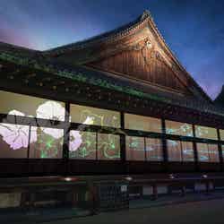 NAKED meets 二条城 2025 夕涼み/提供画像