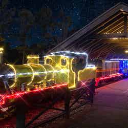 イルミネーション/提供画像