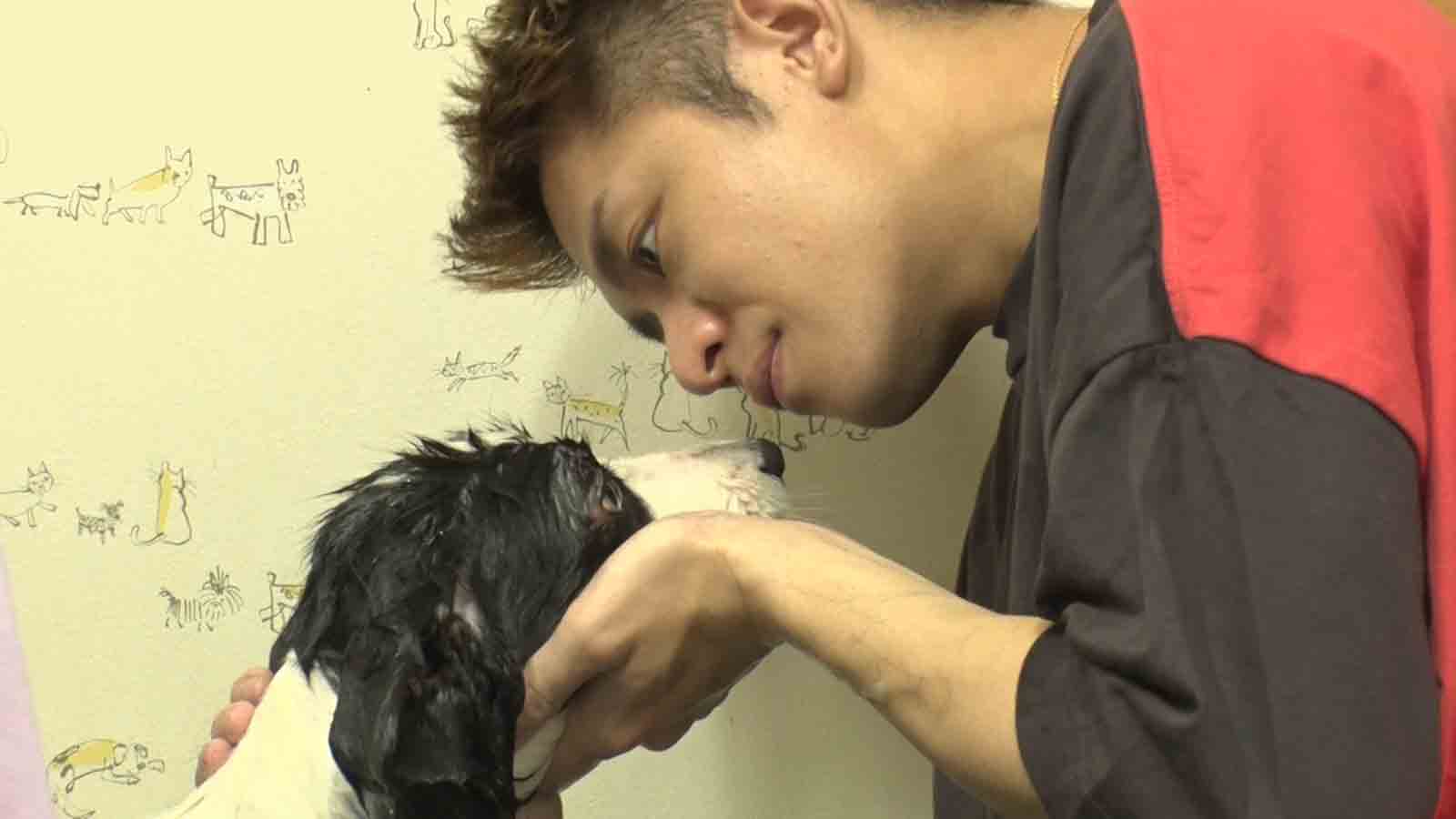 岸優太（C）日本テレビ