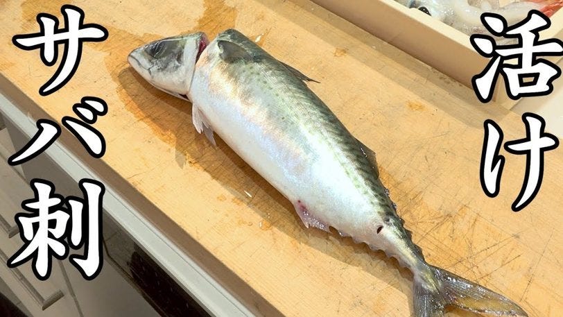嫌なことも忘れる。6月に食べたい旬の魚。真鯖とアオリイカ