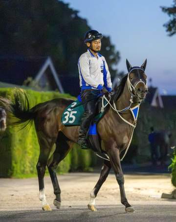 【新馬戦】ツーハーツ 鞍上の今村聖奈は好感触 寺島師との師弟コンビで初陣V狙う