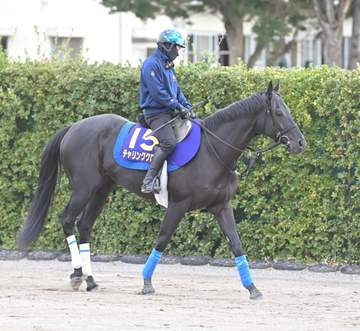 【菊花賞】チャリングクロス ロブチェン3冠阻止成し遂げ兄クロワデュノールに続く たたき上げ初G1舞台 中尾助手「心肺機能すごい」