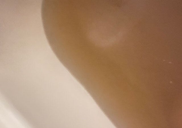 ダイソーの温素