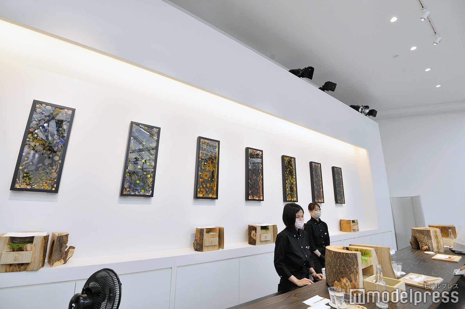 関西パビリオン／和歌山ゾーン（C）モデルプレス