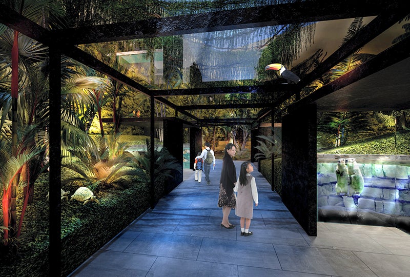 「アマゾンゾーン」夜の時間帯のイメージ ／画像提供：アクア・ライブ・インベストメント