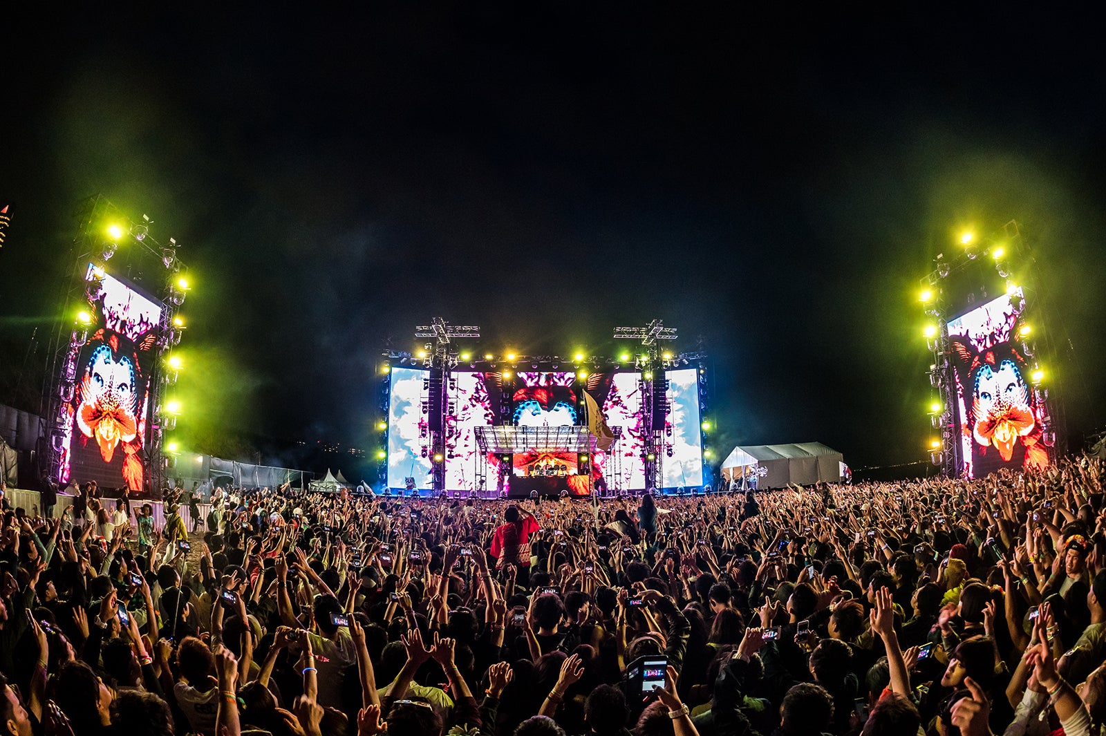 （C）The-Holy-Mountain-for-Insomniac-2