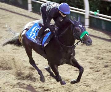 【毎日王冠】サトノシャイニング パワフルな伸びに上昇ムード 小川助手「持っているものはすごい」
