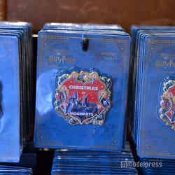 (C)モデルプレス