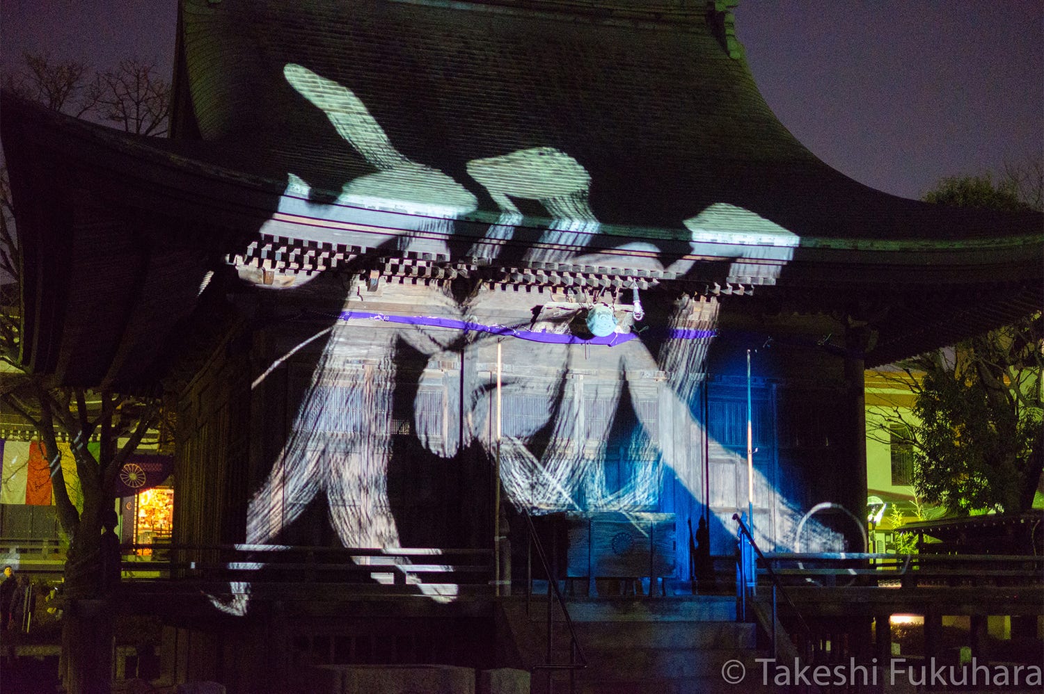 円融寺で大晦日「プロジェクションマッピング奉納」伝統と幻想アートが融合