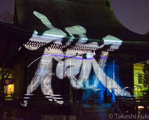 円融寺で大晦日「プロジェクションマッピング奉納」伝統と幻想アートが融合