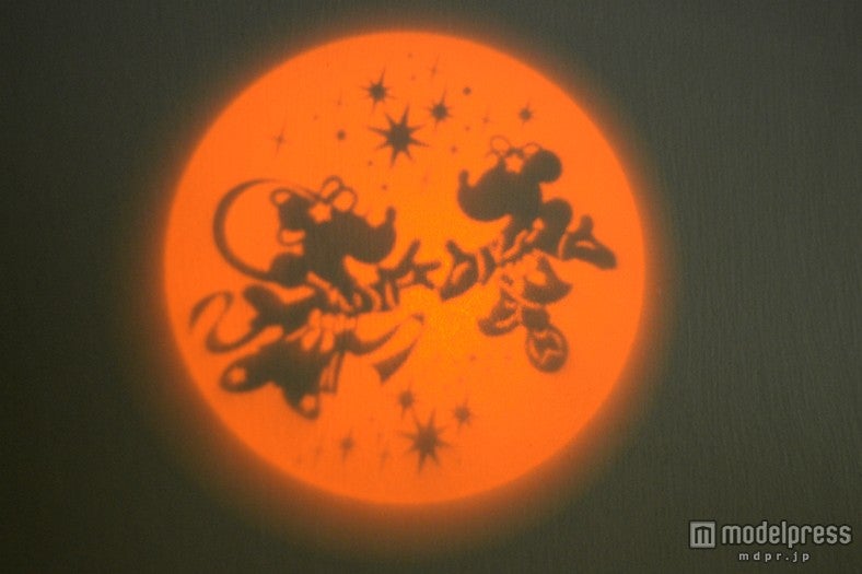 映しだされる幻想的な光