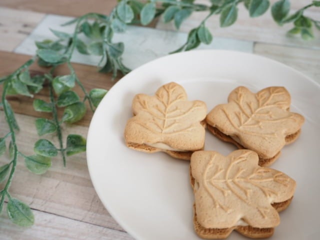 成城石井メープルクッキー観葉植物と一緒に撮影した写真