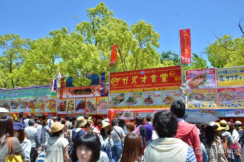 タイフェスシーズン到来！今春都内で開催されるタイフェス3選