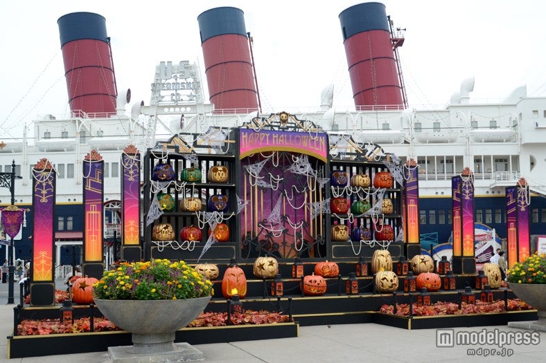 カボチャの品評会のフォトロケーション（TDS）