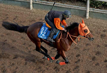 【日経新春杯】オールナット 前走10着から得意舞台での巻き返しへ活気十分 高野師「この中間も穏やかに進めてきました」