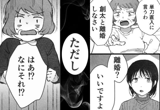 義母「離婚しなさい！」嫁「いいですよ。ただし…」⇒嫁が出した“条件”に「はあ！？なにそれ！？」