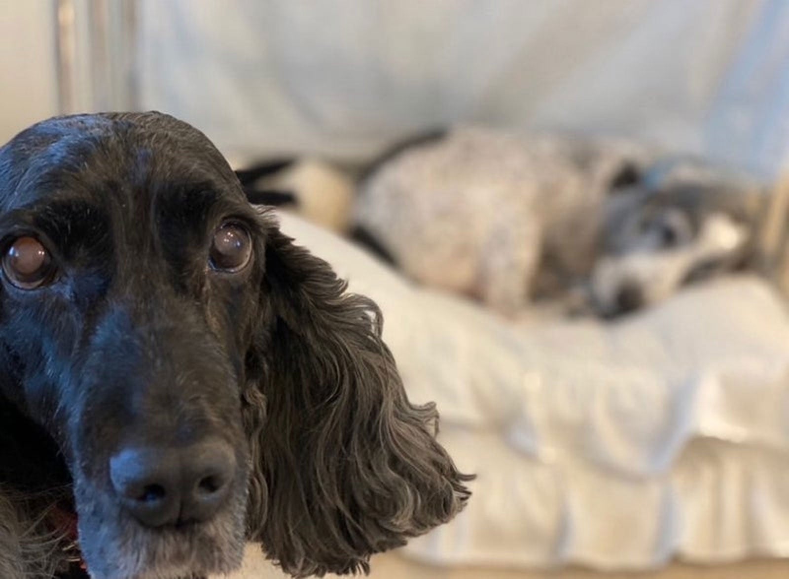 高橋克典オフィシャルブログ（提供写真）