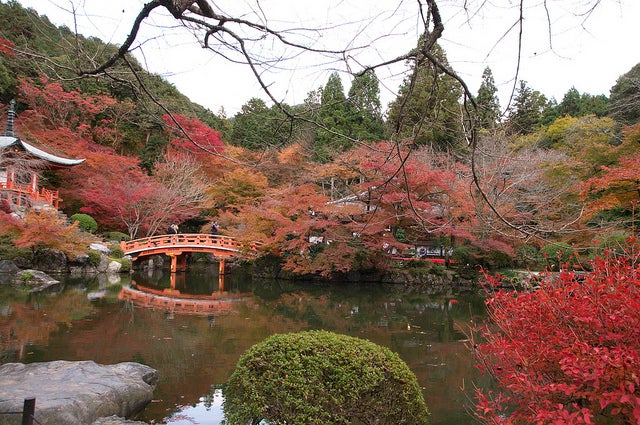 「醍醐寺」／photo by Kyoto-Picture