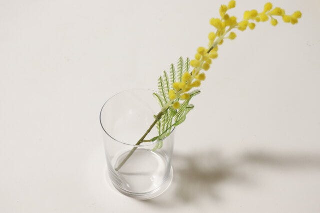 ダイソー　うすぐらす　使用例　花瓶　フラワーベース