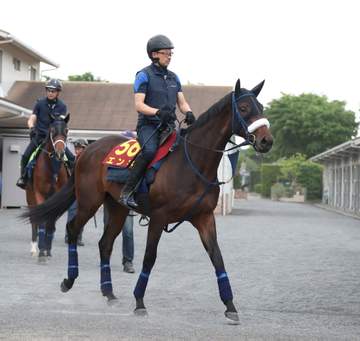 【オークス】エンネ 史上初となるデビュー3戦目での最短Vヘ 吉岡師「前走よりもう一段階上の状態」