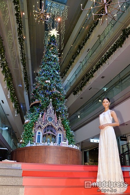 点灯された美しいツリーとともに菜々緒