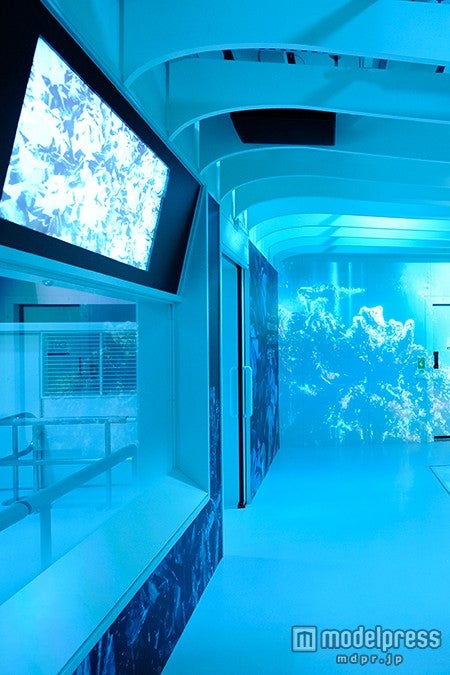 ブリザードルームでマウントケニアさながらの気温差35度を体験「マウントケニア」