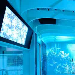 ブリザードルームでマウントケニアさながらの気温差35度を体験「マウントケニア」