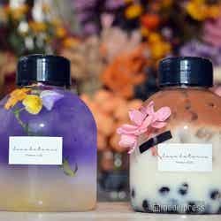 LUCE BOTANIX(C)モデルプレス