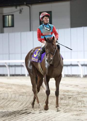 【地方競馬】川崎・スパーキングレディーC タマモフリージアは脚を伸ばして2着 田口は内容評価「ここ最近の中ではすごくいい走り」
