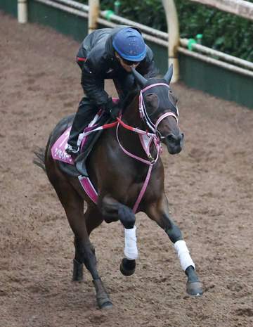 【ローズS】タイセイボーグ 成長実感 仕上がり上々、休養経て大人に 松下師も期待「最後はひと脚を使ってくれる馬」