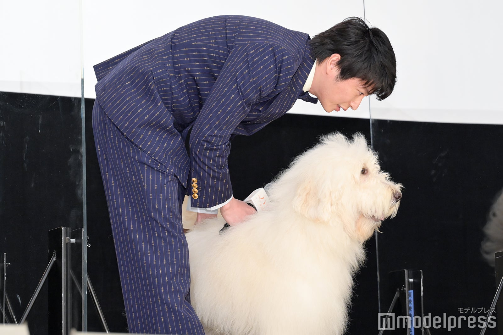 田中圭（C）モデルプレス