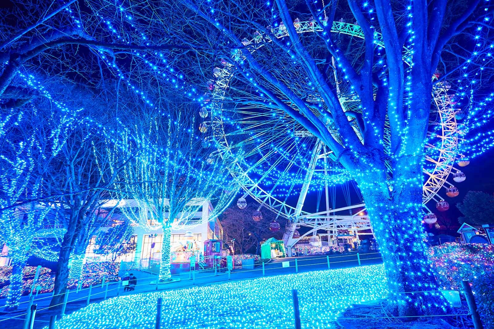 ジュエリーツイーグラス／画像提供：株式会社よみうりランド