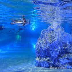すみだ水族館(C)モデルプレス