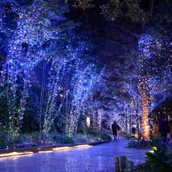 ソラミ坂外構(昨年の様子)(C)TOKYO-SKYTREETOWN